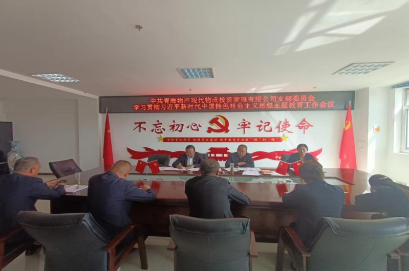 现代物流公司党支部召开学习贯彻习近平新时期中国特色社会主义思想主题教育工作会议