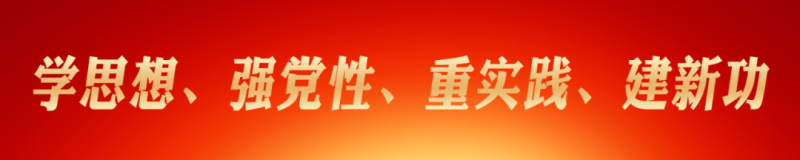 省委主题教育第九巡回领导组 莅临省森林舞会官网集团进行调研领导