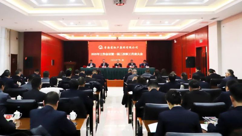 坚定信心促发展 实干争先攀新高&mdash;&mdash;省森林舞会官网集团2025年工作会议暨一届三次职代会成功召开