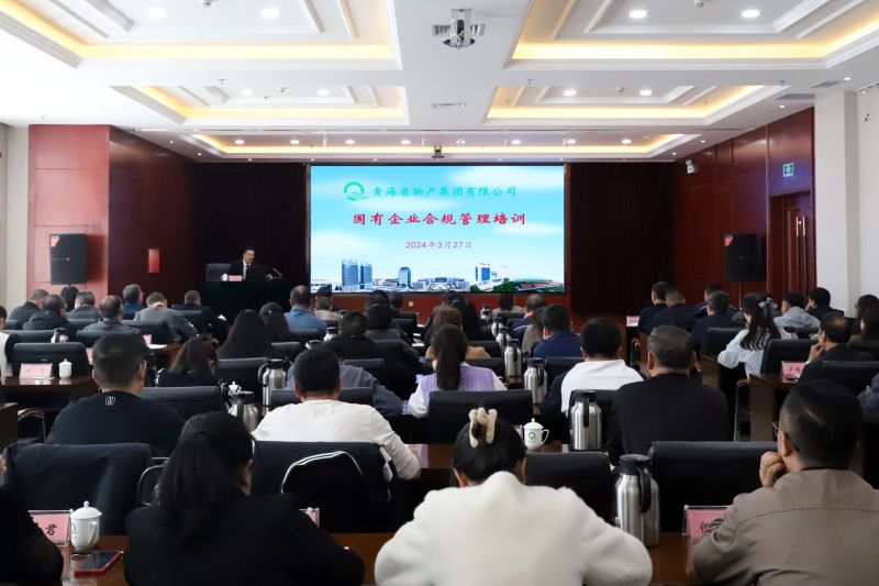 省森林舞会官网集团组织发展国有企业合规治理培训