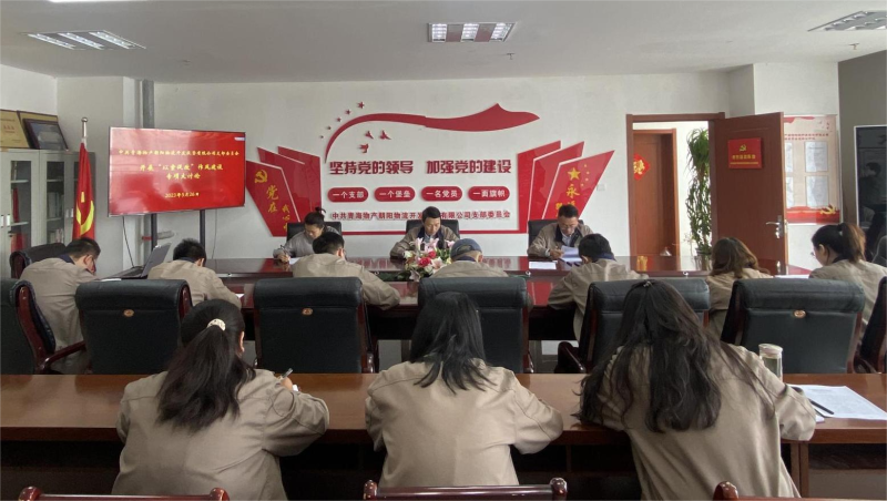 以案促改转风格 坚守底线树新风   &mdash;&mdash;青海森林舞会官网向阳物流开发投资有限公司支部委员会发展&ldquo;以案促改&rdquo;风格建设专项大会商