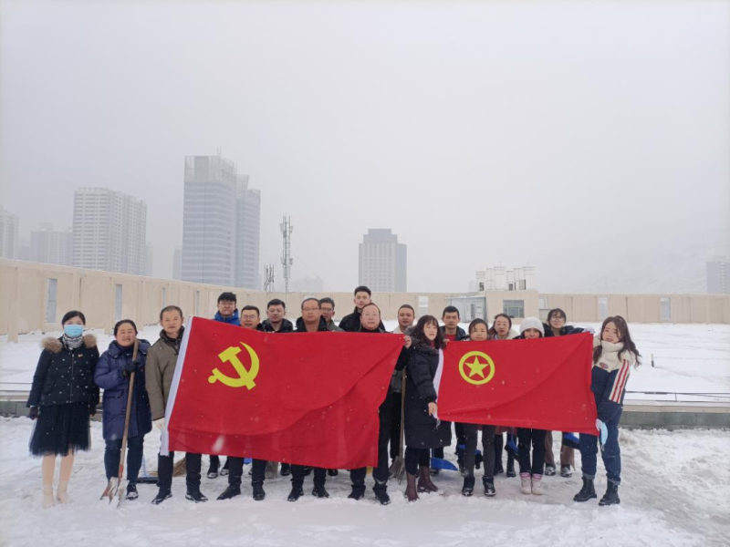 党团齐发力 除雪在一线&mdash;&mdash;现代物流公司党支部发展除雪保安全活动