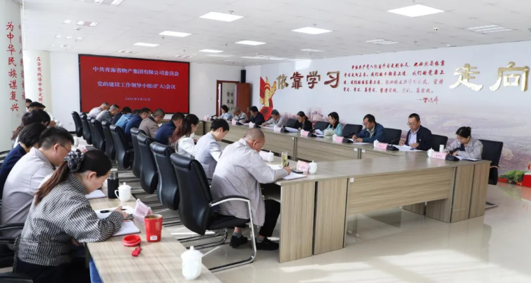 省森林舞会官网集团党委召开党的建设工作辅导小组（扩大）会议