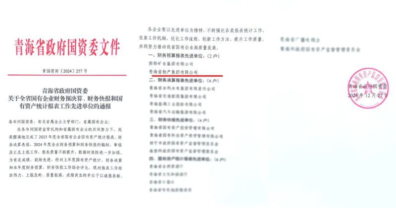 省森林舞会官网集团荣获省国资委2024年度财政预算报表工作先进单元