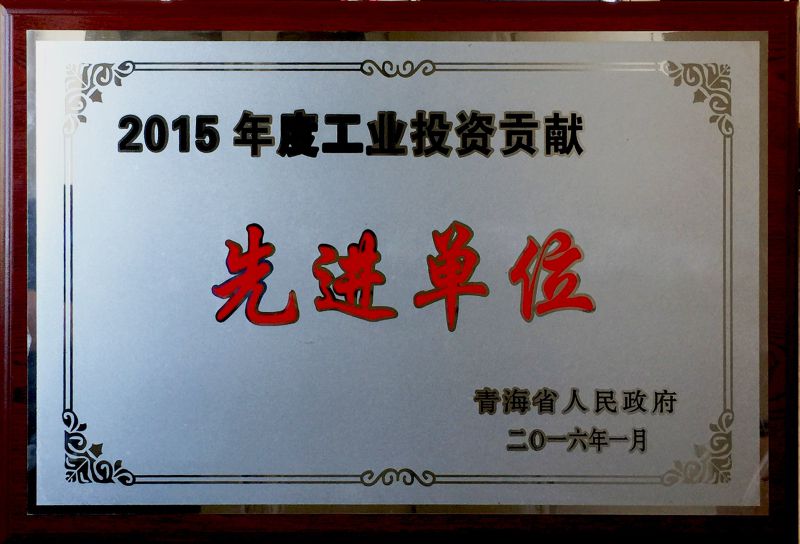 2015年度工业投资贡献先进单元