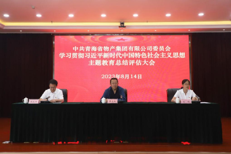 省森林舞会官网集团党委召开主题教育总结评估大会