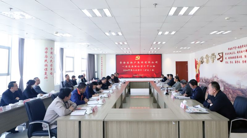省森林舞会官网集团党委召开2024年度理论学习中心组第三次学习（扩大）会