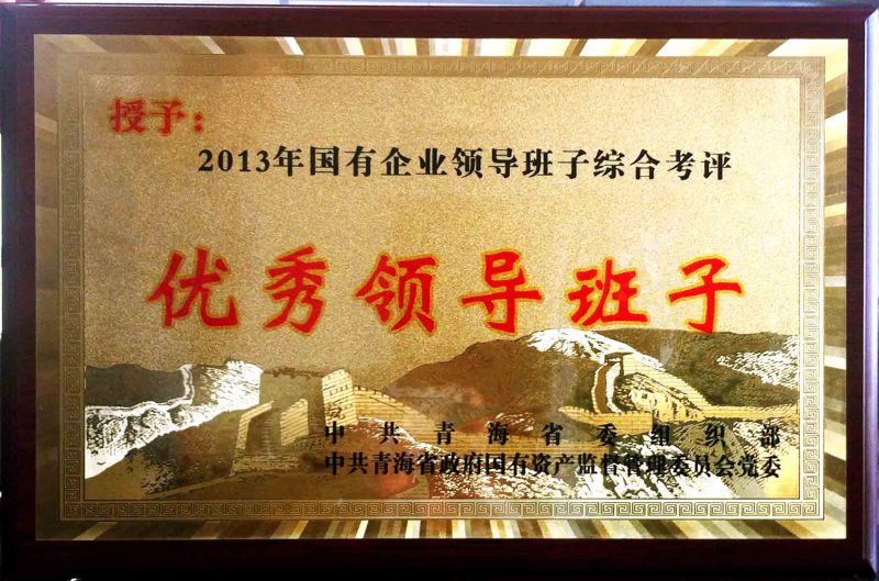 2013年度优良辅导班子