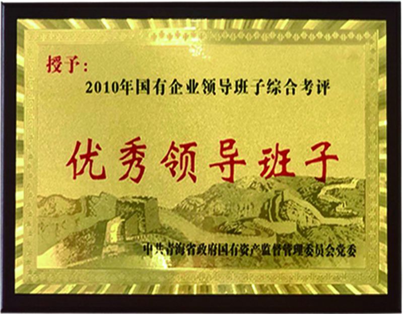 2010国有企业优良辅导班子
