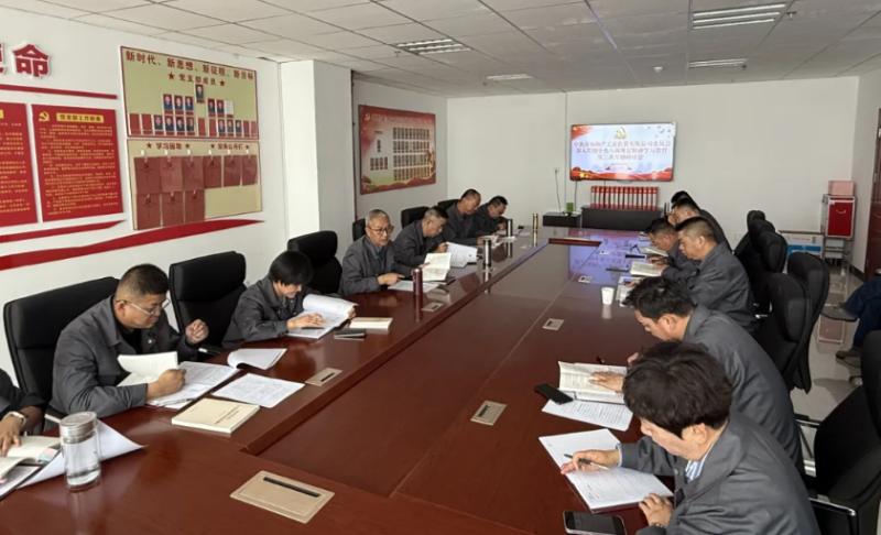 工投公司党委召开深刻贯彻中央八项划放心灵学习教育第二次专题钻研会